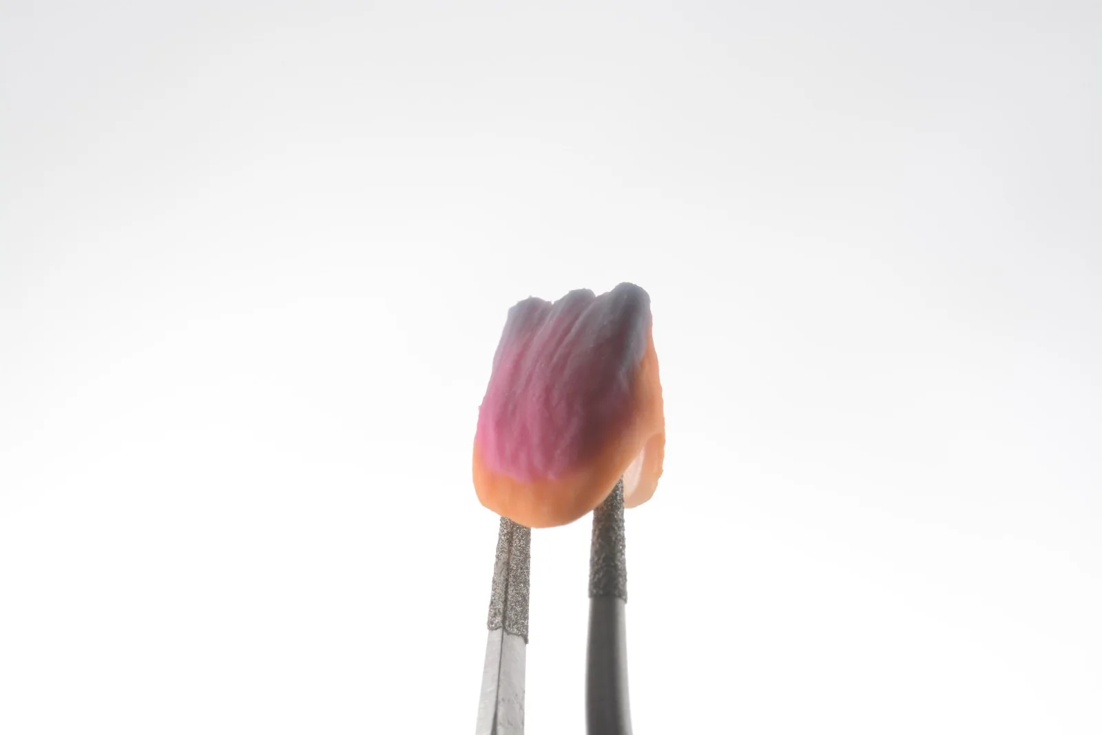 A layered porcelain veneer balanced on a burnt match, showing warm dentin and translucent enamel